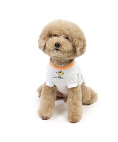 PET PARADISE スヌーピー UV反応 色が変わるTシャツ 《ビーチ柄》 小型犬