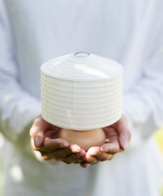 ちょうちん堂 【豆cocolan Muji】豆しかく ちょうちん ライト