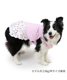 PET PARADISE ペットパラダイス 接触冷感 ワンピース 《いちご柄》 中型犬 大型犬