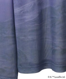 Green Parks ＳＴＡＲ　ＷＡＲＳ／シアープリントＴシャツ