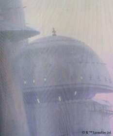 Green Parks ＳＴＡＲ　ＷＡＲＳ／シアープリントＴシャツ