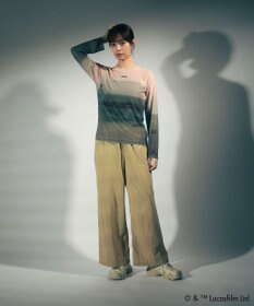 Green Parks ＳＴＡＲ　ＷＡＲＳ／シアープリントＴシャツ