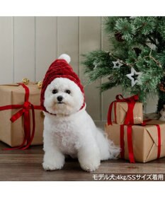 PET PARADISE ペットパラダイス サンタさん 帽子　４Ｓ～３Ｓ / ＳＳ～Ｓ 小型犬