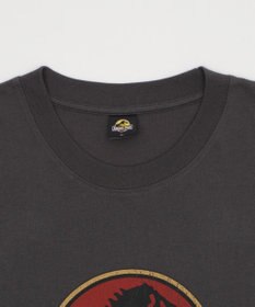 WEGO 【ユニセックス着用ITEM/SMLサイズ展開】JURASSIC　PARKグラフィックT（S）