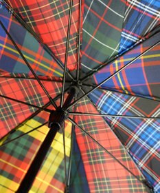 +RING 【限定/日本製】 UNISEX プラスリング 長傘60cm SR434 CHK