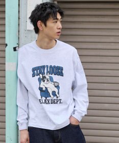 WEGO グラフィックBIG　T（長袖）