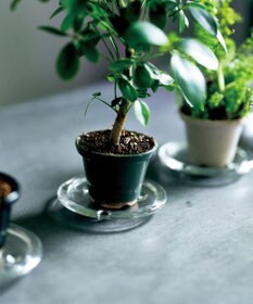 aito製作所 景　植木鉢小