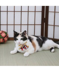 PET PARADISE ペットパラダイス 和帯 ねこ首輪 《紺》 小 / 中