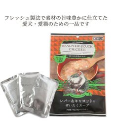 PET PARADISE リアル フードパウチ スープ レバー＆キャロット 50g×3パック 国産