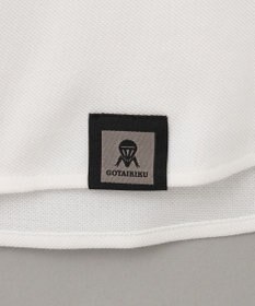 GOTAIRIKU 【吸水速乾】クールマックス鹿の子 ビズシャツ_スナップダウン