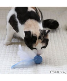 PET PARADISE ペットパラダイス 猫シリコン ボール 《ブルー》