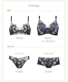 Wing ブラジャー Wing Lesiage サイドすっきり しっかりフィット 【2850シリーズ】 パッド有 ブラ PB2850 ウイング／ワコール