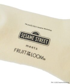 Green Parks セサミストリートミーツオブザルーム　ソックス