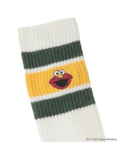 Green Parks セサミストリートミーツオブザルーム　ソックス