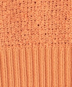 GRACE CONTINENTAL カノコショートニットトップ