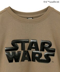 Green Parks ＳＴＡＲ　ＷＡＲＳ／メタルプリントスウェット