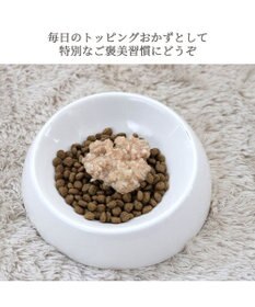 PET PARADISE リアル フードパウチ スープ レバー＆キャロット 50g×3パック 国産