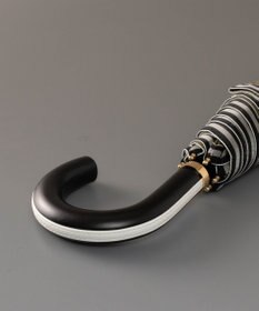 AURORA Beaurance （ビューランス）晴雨兼用傘（トップフラット）