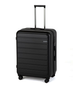 ACE BAGS & LUGGAGE ACE フレットボード スーツケース L 100L 05434 エース