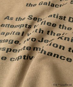 Green Parks ＳＴＡＲ　ＷＡＲＳ／メタルプリントスウェット