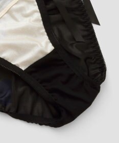 San-ai Resort（三愛水着楽園） シアードットチュール　ブラジャー＆ショーツセット【northerly】