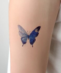 WEGO セットタトゥーシールD