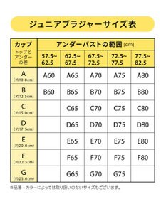 Wing ジュニアブラ やさしくサポート しっかりささえる 【STEP3 まるみをおびてきた胸に】 中学生 高校生 ブラジャー RB2545 ウイング／ワコール