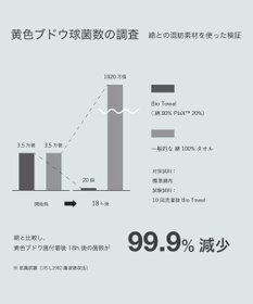 steppi 【抗菌防臭】パンプス用 フットカバー 丸穴タイプ