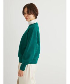 Green Parks もちやわ　ロゴニットプルオーバー