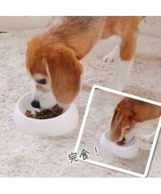 PET PARADISE リアル フードパウチ スープ レバー＆キャロット 50g×3パック 国産