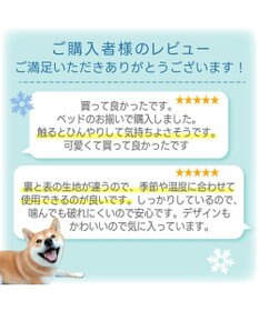 PET PARADISE ディズニー ドナルドダック クールロールマット