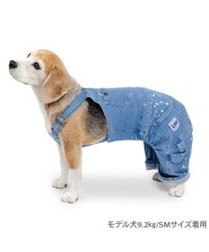 PET PARADISE Ｌｅｅ ペイント デニム オーバーオール 中型犬 大型犬