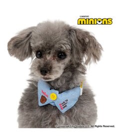 PET PARADISE ミニオン デニム襟付き首輪 Ｓ