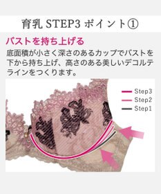 BRADELIS New York 【BRADELIS New York / 育乳STEP3 持ち上げる】ヴィオラステップ3ブラ25A1