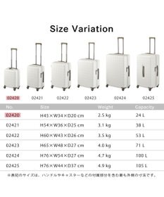 ACE BAGS & LUGGAGE Proteca 360G4 スーツケース 日本製 24L コインロッカー 機内持ち込み 02420 プロテカ