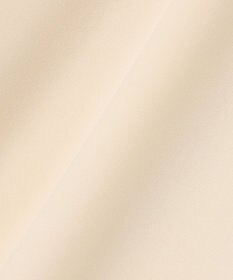 BEIGE， 【洗える】CINDY / フレアスカート