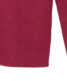 Green Parks ・ＡＮＤＳＥＡＲＣＨ　メランジリブハイネックニット