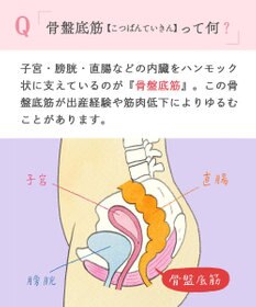 Wing ショーツ　【骨盤底筋サポートショーツ】　骨盤底筋群のゆるみをサポート　はきこみ丈ふつう　ウイング／ワコール　EC7010