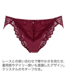 BRADELIS New York】 サポートバックラインスタイルパンティ23A1