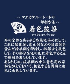 ROOTOTE 1974【A4サイズ収納】RT.トール.クールジャパン.マエカケ-B