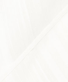 23区 【先行予約】ドビーストライプ バックタック フレアブラウス