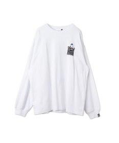 WEGO VISIONゴーストスケーターLST