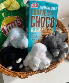 WEGO もふもふうさぎぬいぐるみキーホルダー