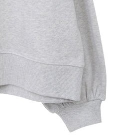 AMERICAN HOLIC ＥＶＡＮＳＴＯＮ　ミニ裏毛プルオーバー