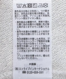 AMERICAN HOLIC ＥＶＡＮＳＴＯＮ　ミニ裏毛プルオーバー