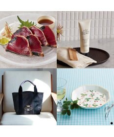 PRESENTERS ROOM Mistral(ミストラル) e-order choice(カードカタログ) ＜Arnica(アルニカ)＞