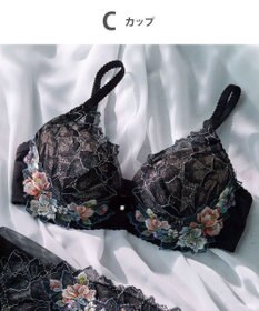 Wing Wing Lesiage　【2820シリーズ】　ブラジャー　ふっくらまる胸メイク　ウイング／ワコール　PB2820