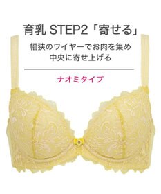 BRADELIS New York 【BRADELIS New York】ナオミステップ2ブラ23S2 バストを寄せて丸い女性らしい谷間をつくる補正ブラ