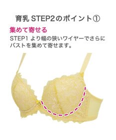 BRADELIS New York 【BRADELIS New York】ナオミステップ2ブラ23S2 バストを寄せて丸い女性らしい谷間をつくる補正ブラ