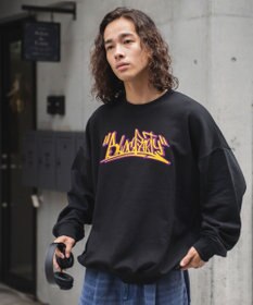 WEGO ヘビーウエイト刺繍グラフィックプルオーバー